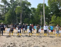 PT Timah Tanam 5.000 Mangrove di Pesisir Tanjung Labun, Cegah Abrasi dan Jaga Ekosistem