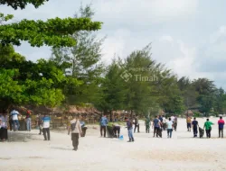 Peringati Hari Lingkungan Hidup, PT Timah dan Pokdarwis Rambak Ajak Warga Bersih Pantai dan Tanam Pohon