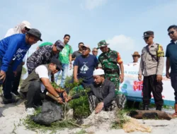Hijaukan Wisata Batu Tunggal, PT Timah Tanam Pohon Peneduh dan Ajak Warga Jaga Lingkungan