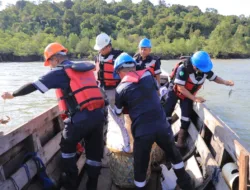 PT Timah Kembali Restocking Ratusan Kepiting Bakau di Perairan Kundur 