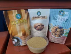 Siswa SMK N 1 Payung Sulap Tanaman Liar “Biji Jabak” Jadi Olahan Makanan yang Enak dan Bergizi