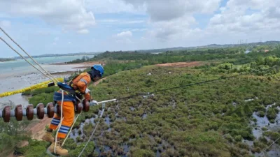 Wujud Kontribusi ke Negara, PLN Setor Rp65,59 Triliun Lewat Dividen, Pajak, dan PNBP