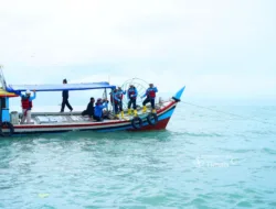 PT Timah Tenggelamkan Artificial Reef, Nelayan Tanjung Kubu Lebih Mudah Tangkap Ikan
