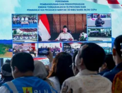 Presiden Prabowo Resmikan 55 Proyek Pembangkit EBT, Termasuk Program Lisdes PLN di Berbagai Wilayah Indonesia