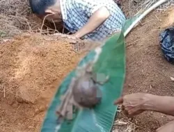 Heboh! Warga Jebus Temukan Guci Berisi Kerangka Diduga Manusia