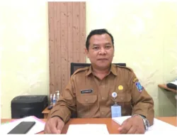 Sektor Perkebunan Sawit di Babel Sumbang Devisa Tinggi Secara Nasional