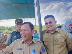 Panen Perdana, Dinas Pertanian Babel Apresiasi Program Bibit Sawit Gratis Riza-Debby