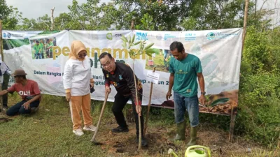 Biasanya Nebang Pohon, Pada Peringatan Hari Lingkungan Hidup Sedunia DLH Pangkalpinang Tanam 250 Bibit Pohon