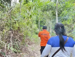Seorang Nenek Dilaporkan Hilang di Perkebunan Desa Cit, Tim SAR Gabungan Turunkan Drone Thermal