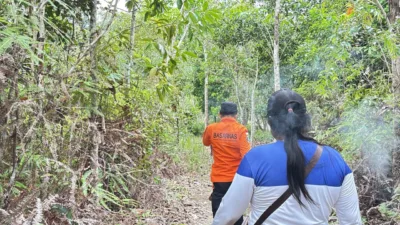 Seorang Nenek Dilaporkan Hilang di Perkebunan Desa Cit, Tim SAR Gabungan Turunkan Drone Thermal