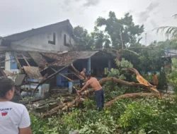 Dua Rumah Warga Desa Sempan Rusak Diterjang Angin Kencang, Satu Tertimpa Pohon Tumbang