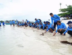 Dukung Pariwisata dan Ekosistem Laut, PT Timah Tbk Bersama AAI Sumbagsel Lepasliar Tukik Sisik di Pulau Kelayang 