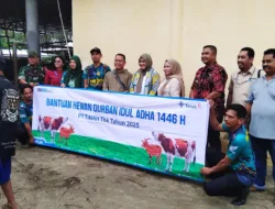 Wakil Gubernur Babel, Hellyana Serahkan Sapi dari CSR PT Timah Tbk untuk Warga Pasar Belinyu