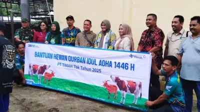 Wakil Gubernur Babel, Hellyana Serahkan Sapi dari CSR PT Timah Tbk untuk Warga Pasar Belinyu