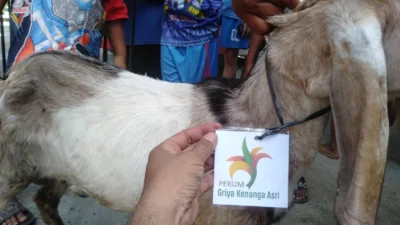 Dreamland Property Group Serahkan Hewan Kurban Dua Ekor Kambing Untuk Umat yang Merayakan Idul Adha 1446 H