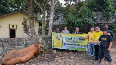 Ketua Komisi XII DPR RI Bambang Patijaya Serahkan Dua Ekor Sapi Kurban untuk Belitung dan Belitung Timur di Idul Adha 1446 H