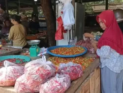 Stok Belimpah, Harga Bumbu Dapur di Pasar Mentok Turun