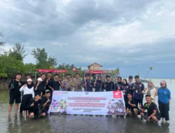 Hijaukan Lepar Pongok, Honda Babel Gandeng Mahasiswa UBB Tanam Ratusan Mangrove dan Cemara Laut