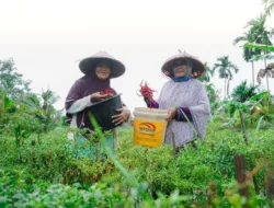 Dukung Kemandirian Ekonomi Masyarakat, PT Timah Berdayakan Potensi Lokal