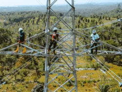 PLN Operasikan Jalur Transmisi 150 kV dari Kolonedale ke Bungku, Perkuat Keandalan Sistem Kelistrikan Sulteng dan Gantikan Mesin Diesel