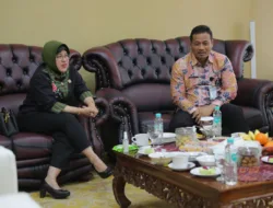 Industri Pengolahan Babel Tumbuh 10,6 Persen, Penguatan Produk Hilir Berpotensi jadi Kunci Ketangguhan Ekonomi Babel