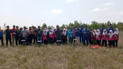 Gandeng PT Timah, HNSI Bangka Tanam 4.000 Bibit Mangrove