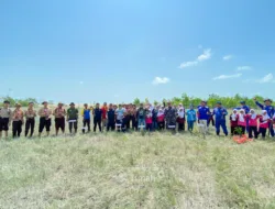 Jaga Ekosistem Pesisir, PT Timah Bersama HNSI Bangka Tanam Ribuan Mangrove di Nelayan II Sungailiat