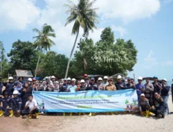 Jaga Ekosistem Pantai Batu Bedaun, PT Timah Kolaborasi dengan Karang Taruna Desa Rajik Tanam Ribuan Mangrove 