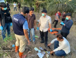 Pria 74 Tahun Ditemukan Meninggal di Kebun Sawit