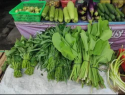 Waspada, Ini Makanan Tinggi Purin Picu Kambuhnya Asam Urat