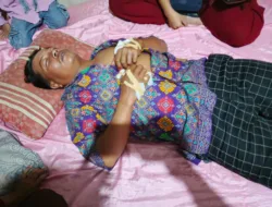 Warga Rias Resah, Buaya Berkeliaran di Area Persawahan, Terkam Tangan Seorang Petani