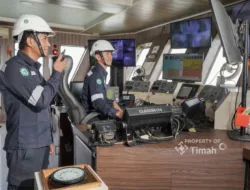 TINS Bukukan Laba Bersih Rp300 Miliar di Semester I 2025
