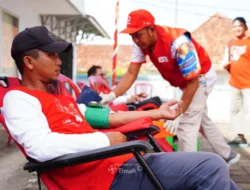 Kolaborasi PT Timah dan PMI Bangka Selatan, Himpun Puluhan Kantong Darah