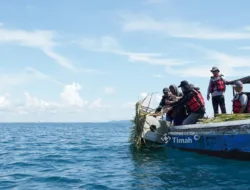Coral Garden PT Timah: Kolaborasi Rawat Laut Hasilkan Ikan, Wisata, dan Harapan Baru