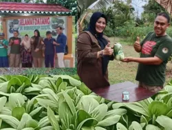 Wagub Babel Hellyana Apresiasi Pengembangan Potensi Agrowisata De Membarongan Sidjoek