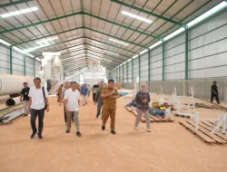 Gubernur Hidayat Segera Resmikan Pabrik Industri Plywood Sengon Pertama di Babel