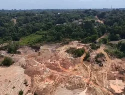Tambang Ilegal Masuk Hutan Lindung, KPHP akan Berkoordinasi dengan Pemkab dan Polisi 