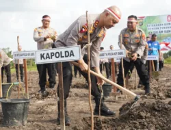 Sambut HUT ke-80 RI, Polda Babel Serentak Tanam 187.000 Bibit Pohon