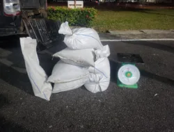 Tampung Timah Ilegal dari Perairan Cupat, MT Diciduk Tim Gabungan