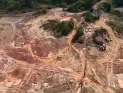 Tambang Timah Ilegal Kembali Beroperasi di Dekat Pemkab Bangka Barat