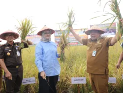 Gubernur Hidayat Arsani Dengar Aspirasi Petani Soal Saluran Irigasi, Embung Penampung Air Hingga Tanggul