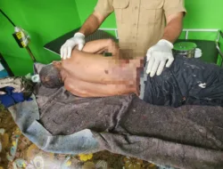 Seorang Pria Paruh Baya Tewas Diterkam Buaya di Area Persawahan Batu Betumpang