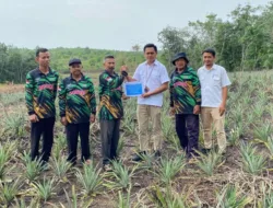 Perkuat Ekonomi Masyarakat, PT Timah Bantu Petani di Kundur Lewat Bibit Tanaman