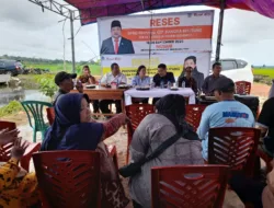 DPRD Babel Soroti Alih Fungsi Lahan di Desa Serdang, Sawah Ratusan Hektare Terancam
