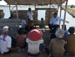 Petani Minta Anggaran Pusat Fokus untuk Pengolahan Lahan dan Pengairan