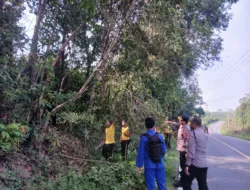 Cegah Lakalantas, Polres Babar Tebang Pohon Rawan Tumbang Demi Keselamatan Pengendara