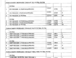 Inilah Data Para Pemenang Pawai Baris Berbaris, Karnaval, Drumbad dan Kendaraan Hias Provinsi Babel