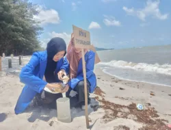 Lewat Konsep Biopori, Himapar Unmuh Babel Dukung Pengembangan Pariwisata Pesisir Berkelanjutan