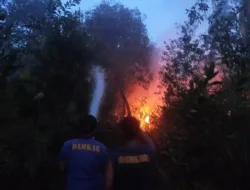 Lahan Seluas 3 Hektare Terbakar di Desa Tutut, Diduga Akibat Ulah Oknum