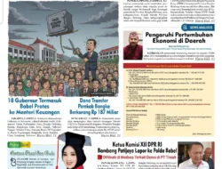 Dampak TKD Dipangkas,  Ribuan PPPK Paruh Waktu di Bangka Belitung Terancam Tak Digaji